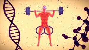 أهمية النوم والاستشفاء العضلي: السر اللي الكباتن مش بيقولولك عليه! يا أبطال، كابتن محمد شوقي معاكم. معظم الناس فاكرة إن بناء العضلات أو حرق الدهون بيحصل وأنت بتشيل أوزان في الجيم. الحقيقة هي إن الجيم مجرد المحفز... الشغل الحقيقي بيتم وأنت في البيت بتستريح! الإهمال في النوم والاستشفاء هو أكبر غلطة بتوقف تقدم 90% من الشباب. ليه النوم هو أهم "مكمل غذائي"؟ مفيش بروتين أو كرياتين ممكن يعوض ساعات النوم القليلة أو جودته الضعيفة. النوم مش رفاهية، هو عملية بيولوجية أساسية لهدفك: هرمون النمو (Growth Hormone): أكتر من 70% من إفراز هرمون النمو، اللي بيبني العضلات ويحرق الدهون، بيحصل في مراحل النوم العميق. لو نمت 4-5 ساعات، أنت بتضيع على جسمك فرصة البناء دي. تظبيط الكورتيزول (Cortisol): قلة النوم بترفع هرمون التوتر (الكورتيزول). الكورتيزول عدو العضلات اللدود، لأنه هرمون هادم (Catabolic) وبيخزن الدهون خصوصاً في منطقة البطن. استشفاء الجهاز العصبي المركزي (CNS): الجهاز ده هو المسؤول عن إرسال الإشارات للعضلات عشان تتمرن بقوة. لو مريحش كويس، أدائك في التمرين اللي بعده هيقل جداً ومش هتعرف تتمرن بأقصى شدة. إزاي تضمن 7-9 ساعات نوم جودة؟ العدد مش كل حاجة، الجودة هي الأهم. جرب النصائح دي عشان تنام نوم أعمق: ثقافة الظلام والبرودة: لازم تكون الأوضة ضلمة تماماً ومفيش أي نور خفيف يدخلها. ودرجة حرارة الغرفة تكون باردة نسبياً (أبرد حاجة تستحملها). منع الشاشات قبل النوم: إبعد الموبايل واللابتوب والتلفزيون قبل ما تنام بساعة على الأقل. الضوء الأزرق اللي بيطلع منهم بيوقف إفراز هرمون الميلاتونين (هرمون النوم). روتين ثابت: حاول تنام وتصحى في مواعيد ثابتة حتى في الويك إند. جسمك بيحب النظام وبيظبط الساعة البيولوجية بتاعته. تجنب الكافيين مساءً: الكافيين بيفضل شغال في جسمك لساعات طويلة. وقف أي مشروبات فيها كافيين بعد الساعة 2 أو 3 الضهر. أهم خطوات الاستشفاء العضلي (غير النوم) بعد ما تخلص تمرينك، العضلات بتكون محتاجة دعم عشان تتصلح وتبني: تغذية الاستشفاء: لازم تضمن إنك بتاخد كفايتك اليومية من البروتين (عشان يغذي العضلات) والكربوهيدرات (عشان تعوض الجلايكوجين اللي اتحرق وتدي طاقة لعمليات الاستشفاء). الاسترتشات الخفيفة: شوية إطالات (Stretching) خفيفة بعد التمرين مش هتضر، بالعكس، هتحسن الدورة الدموية في العضلات وهتساعد في نقل المغذيات والتخلص من الفضلات. يوم الراحة الفعال (Active Recovery): مش معنى يوم راحة إنك تنام طول اليوم. ممكن تعمل حركة خفيفة زي المشي أو كارديو خفيف جداً، ده بيساعد على ضخ الدم للعضلات من غير ما تجهدها زيادة. الخلاصة: تمرين قاسي + تغذية ممتازة + نوم عميق = نتائج مضمونة. لو مفيش نوم كويس، كأنك بتبني بيت من غير أساس. جاهز تاخد النتائج دي بشكل منظم ومدروس؟ لو عايز نظام تدريب وتغذية كامل متكامل، معمول ليك أنت بالظبط عشان توصل لجسم أحلامك بأسرع وقت وأقل مجهود ضايع، يبقى لازم تنضم دلوقتي لكوتشنج Fit4Arabs. إبعت رسالة "أنا جاهز" دلوقتي!.jpg